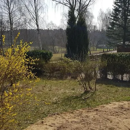 Mecklenburgische Seenplatte - Fh Mit Optionalem Steg Und Ruderboot *